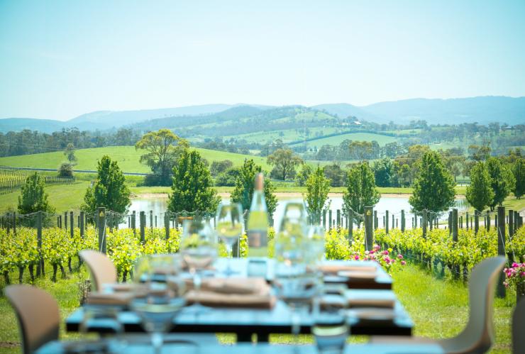 Oakridge Winery, Yarra Valley, Victoria © Oakridge Winery Oakridge Winery, Yarra Valley, Victoria © Oakridge Winery