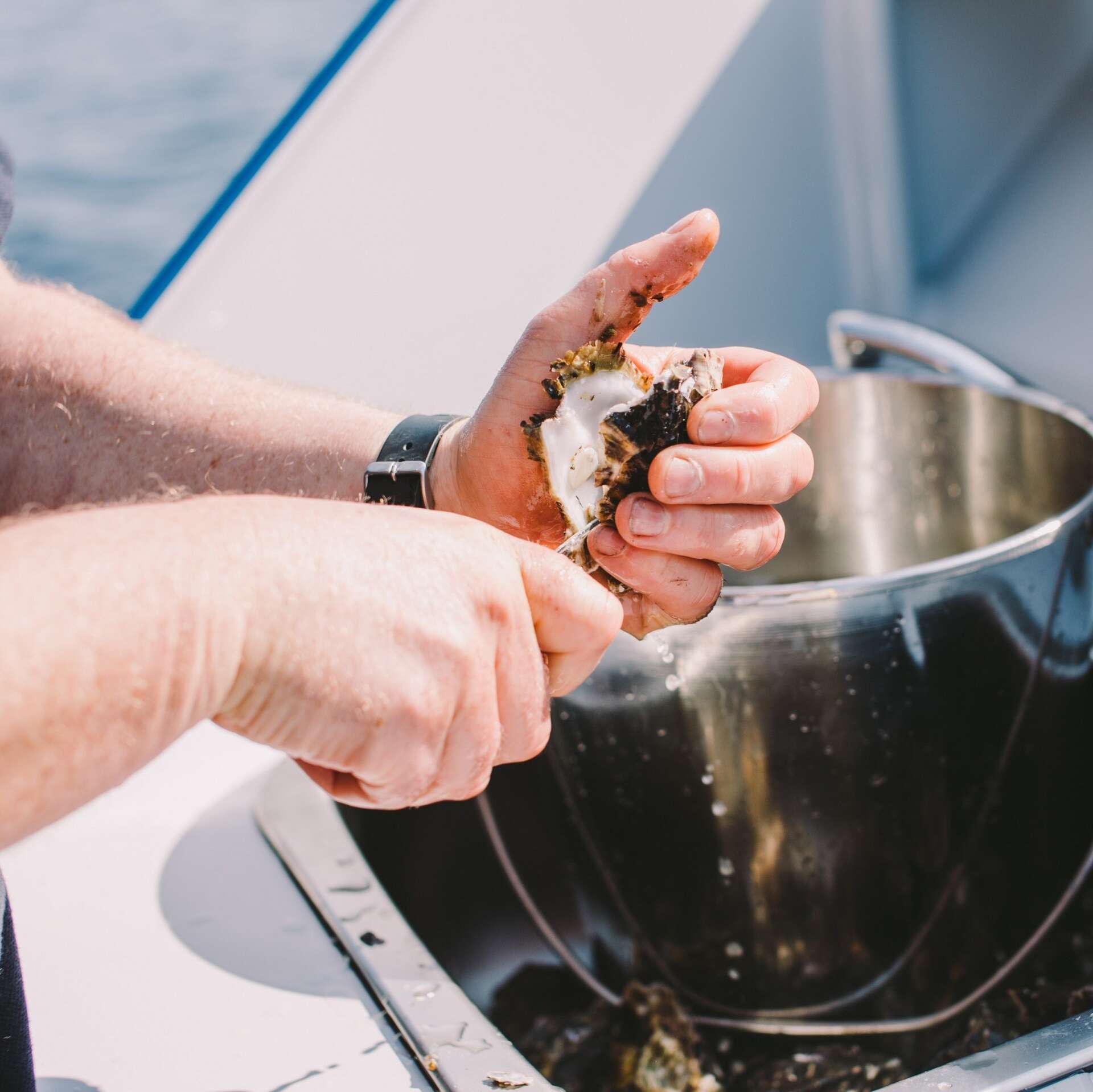 Seafood Experiences Tasmania