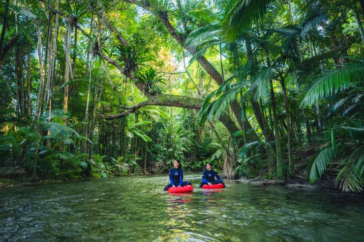 Back Country Bliss, Daintree Rainforest, QLD © Tourism and Events Queensland