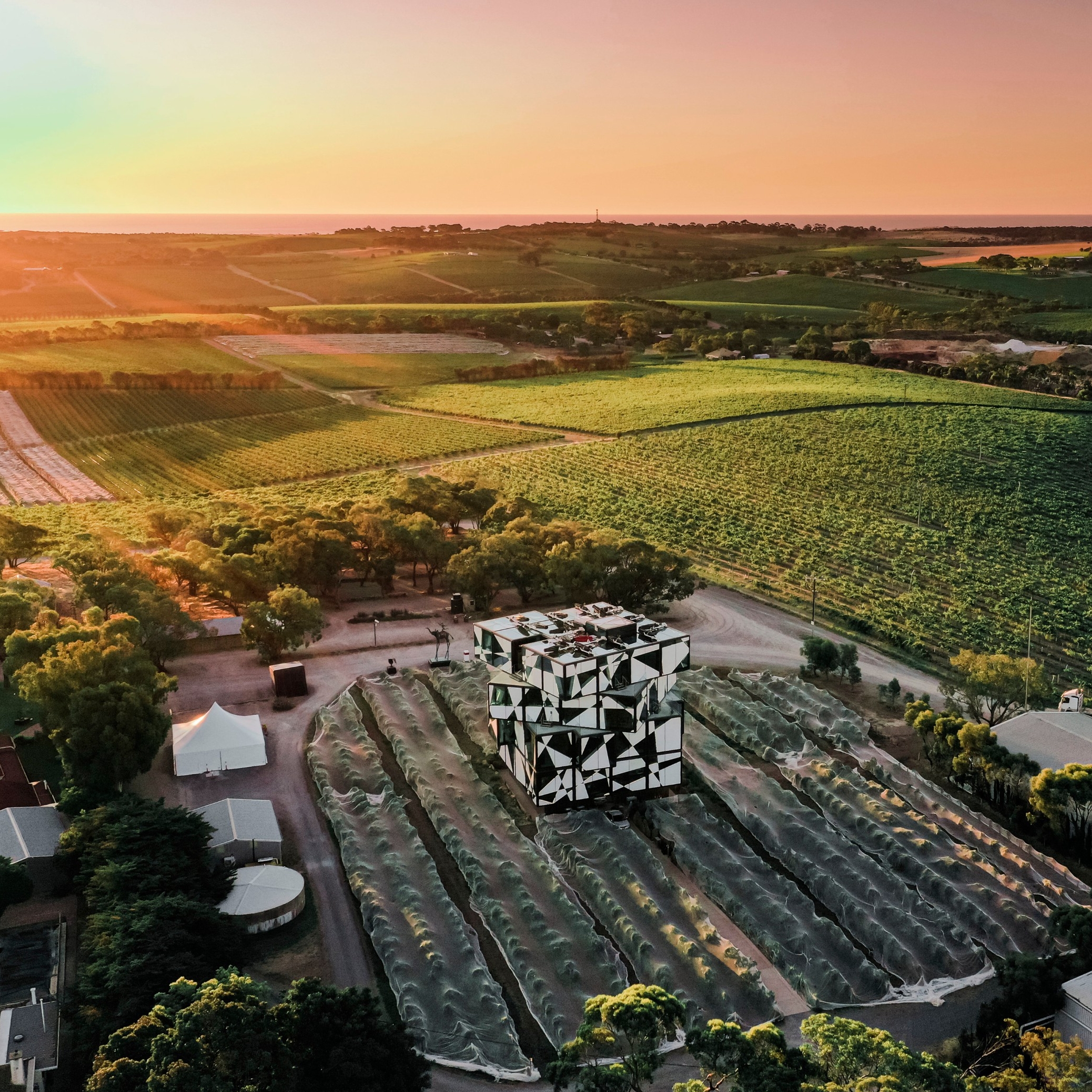 d’Arenberg Winery, McLaren Vale, SA © Trent Martin Photography