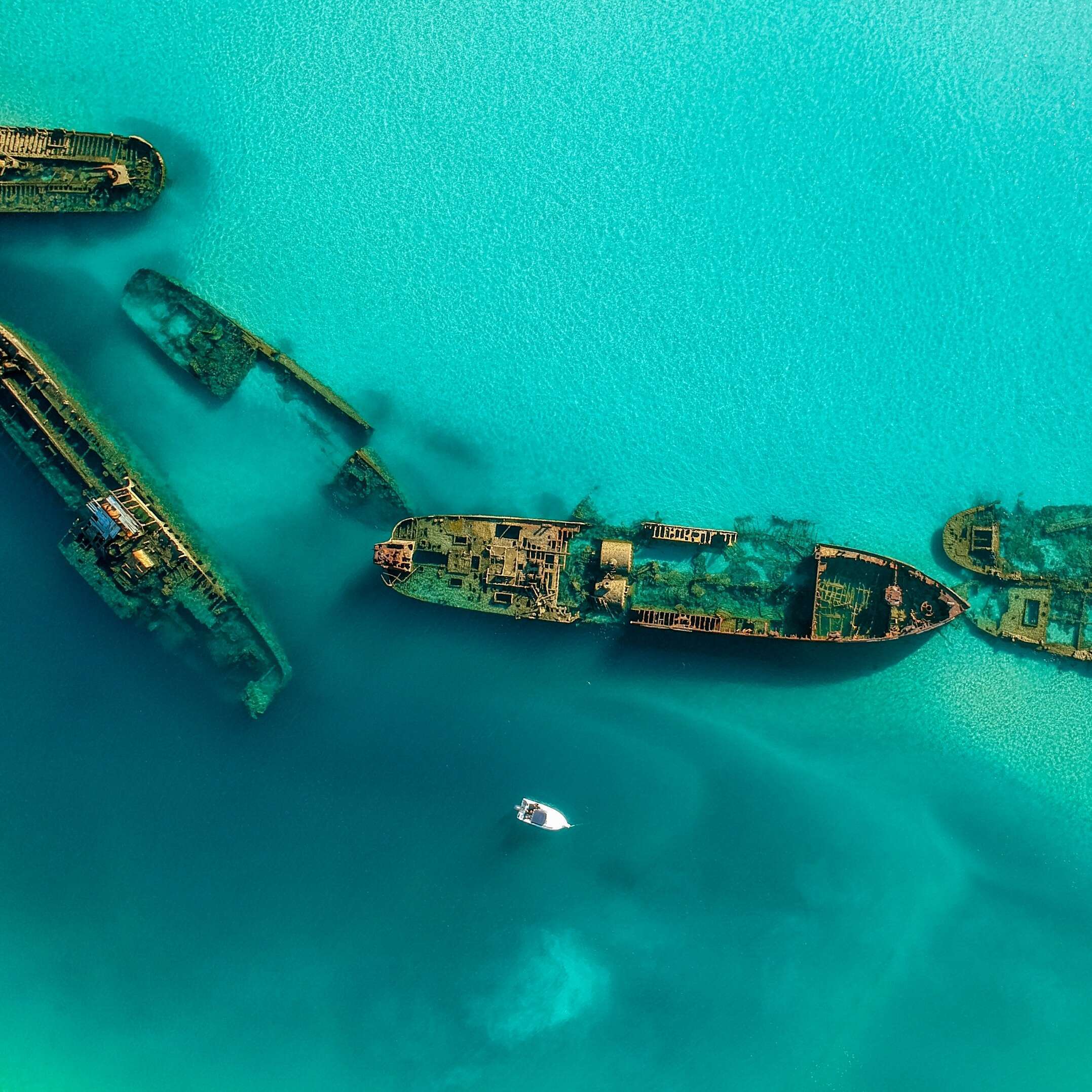 Tangalooma Shipwrecks on Moreton Island, Queensland © Tourism Australia