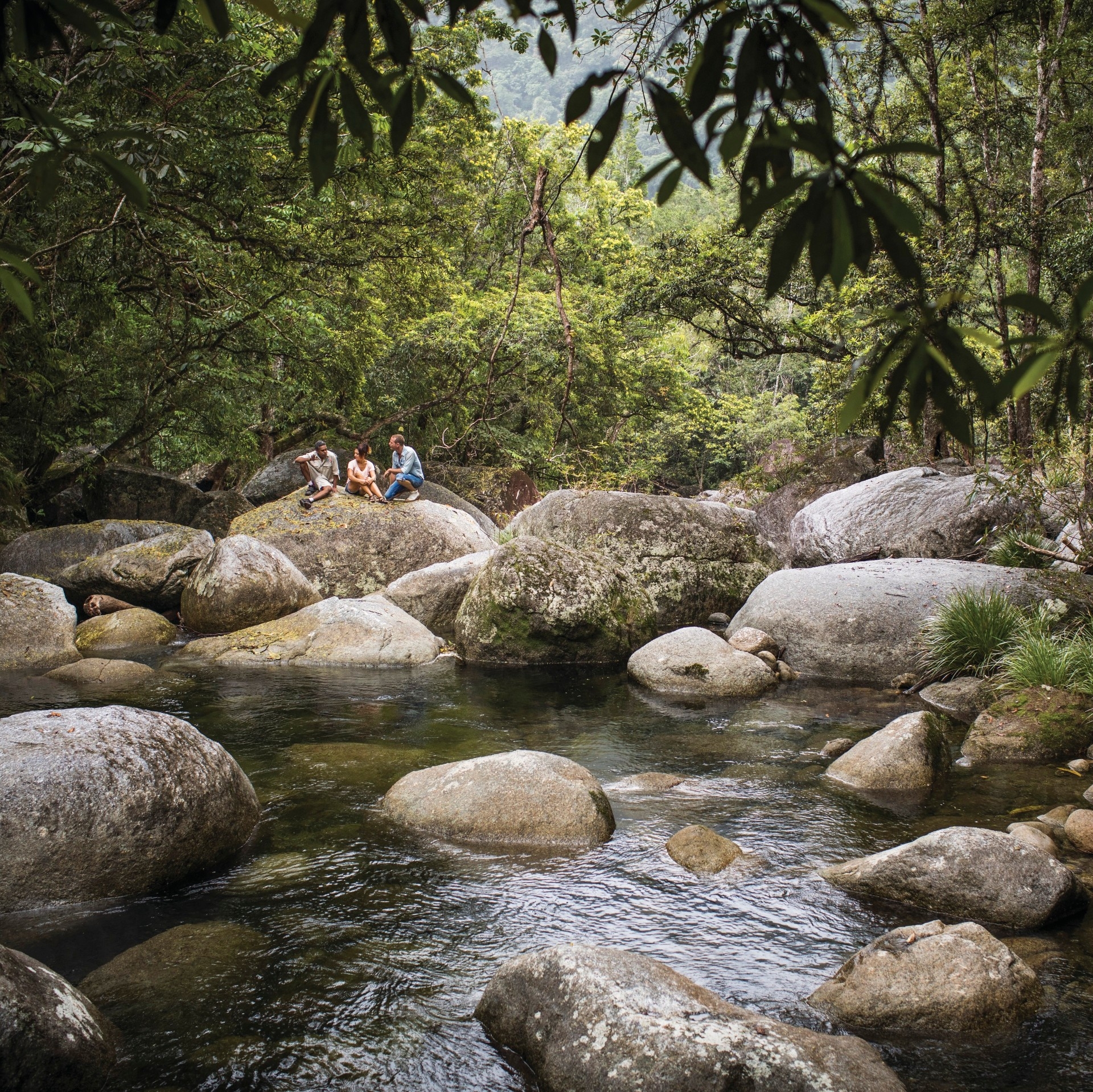 Mossman Gorge, Mossman, QLD © Tourism Australia 