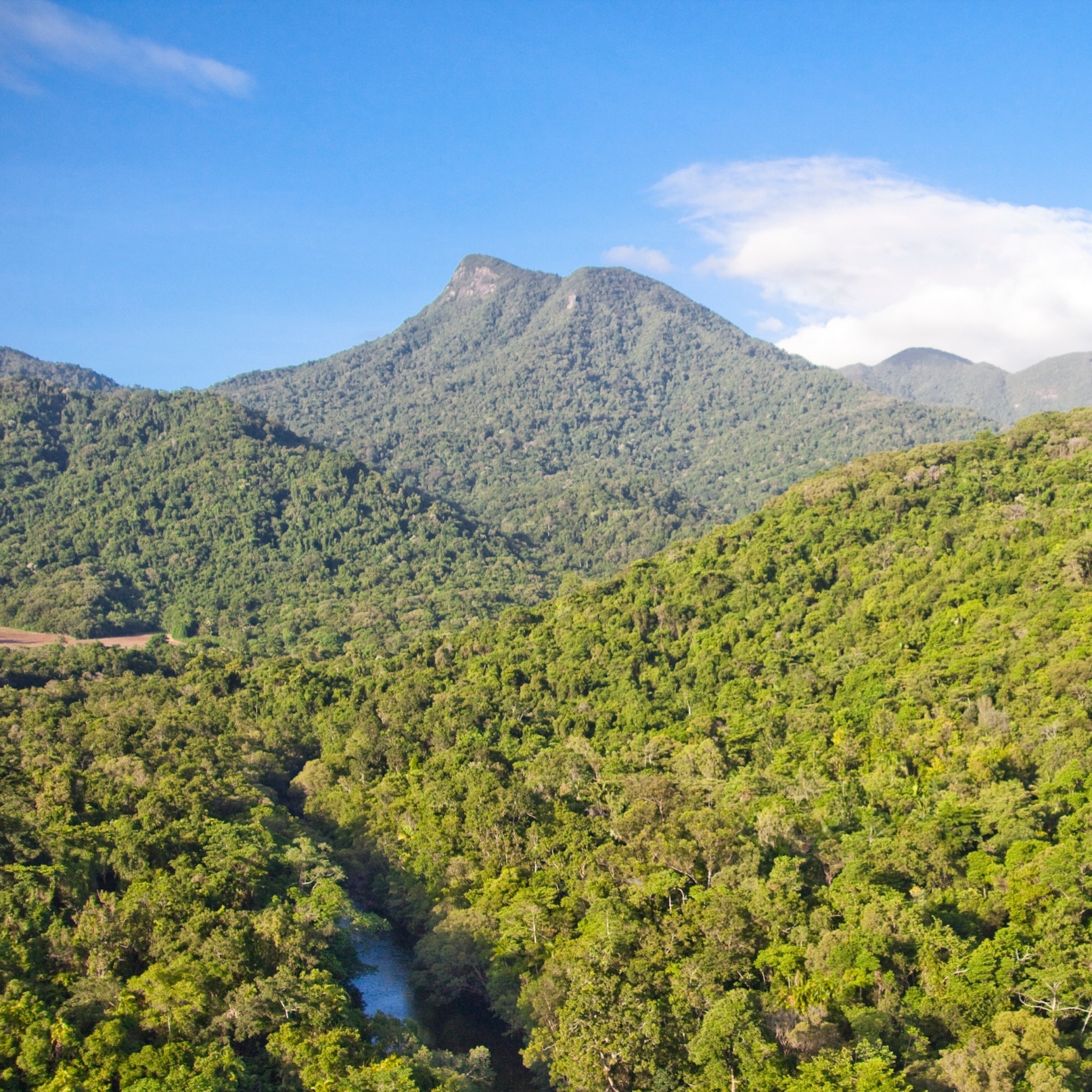 Daintree National Park, Wet Tropics, QLD © Silky Oaks Lodge