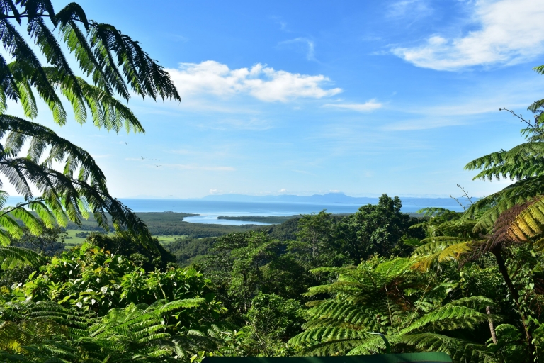 Daintree Rainforest, Queensland © Tourism Australia