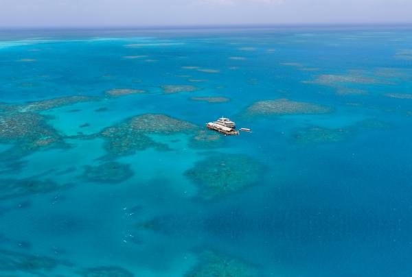 Thornton Beach Daintree, Daintree RainfoSunlover Reef Cruises, Great Barrier Reef, Queensland © Sunlover Reef Cruisesrest, Queensland ©Tourism Tropical North Queensland