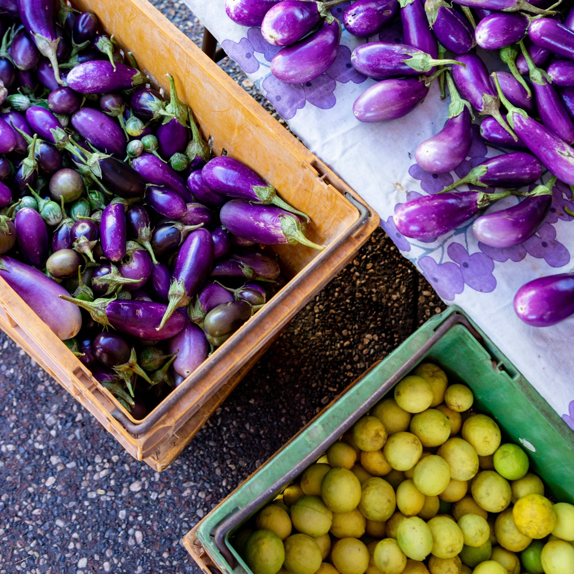 Produce at Parap Market, Darwin, Northern Territory © Sofia Levin