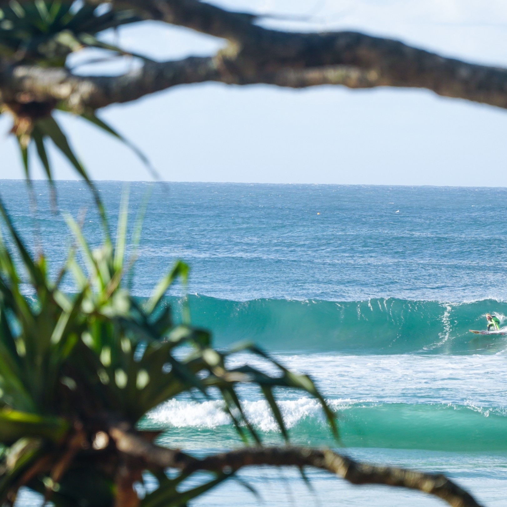 Surfers Paradise, Gold Coast, Queensland © Tourism Australia