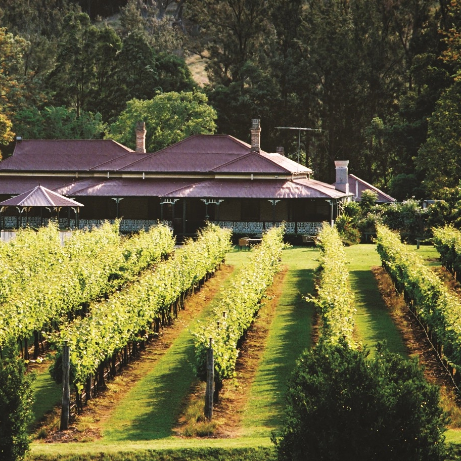 O'Reilly's Canungra Valley Vineyard, Queensland © O'Reilly's Canungra Valley Vineyard