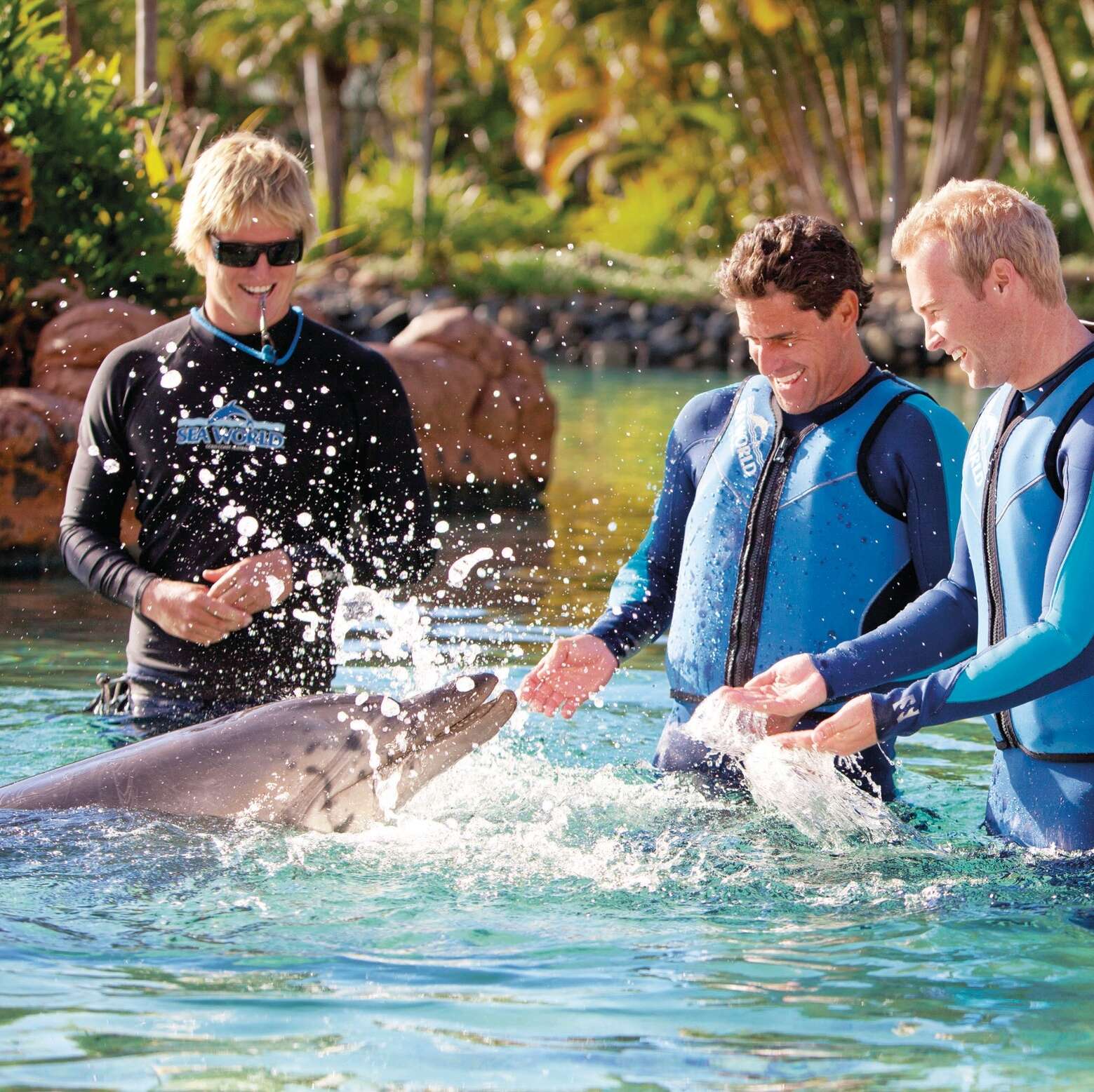 Seaworld Dolphin Cove Theatre, Main Beach, Gold Coast, Queensland ©Tourism and Events Queensland