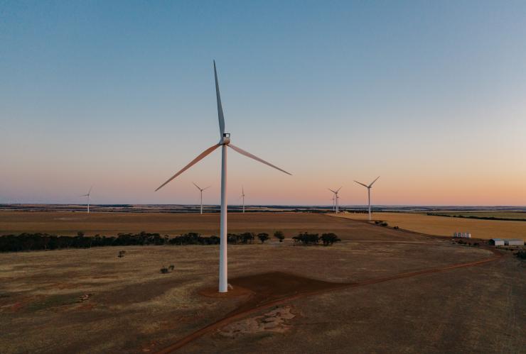 Aerial view Merredin Collgar Wind Farm, Merredin, Western Australia © Tourism Western Australia