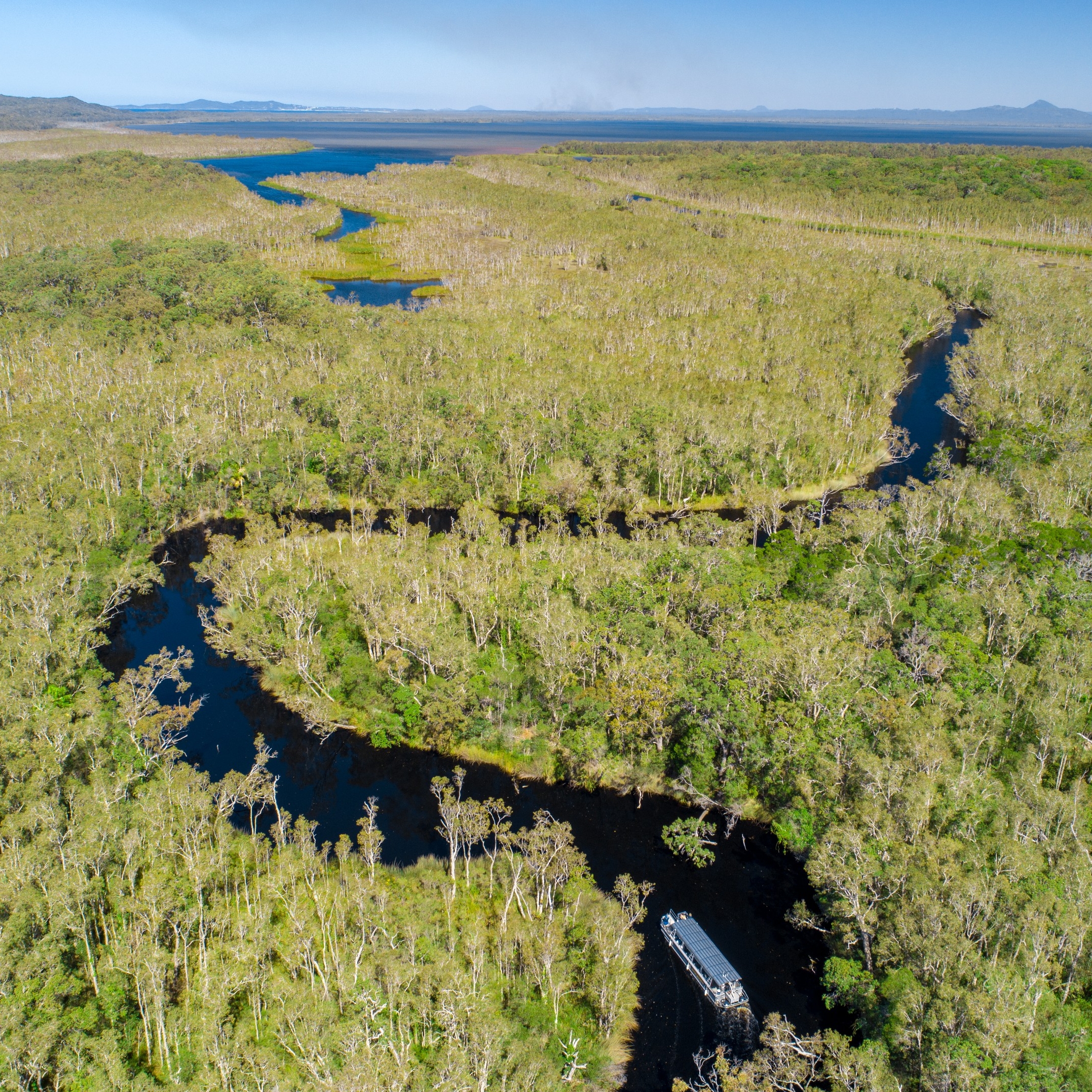 Noosa Everglades, Noosa, Queensland © Tourism Australia