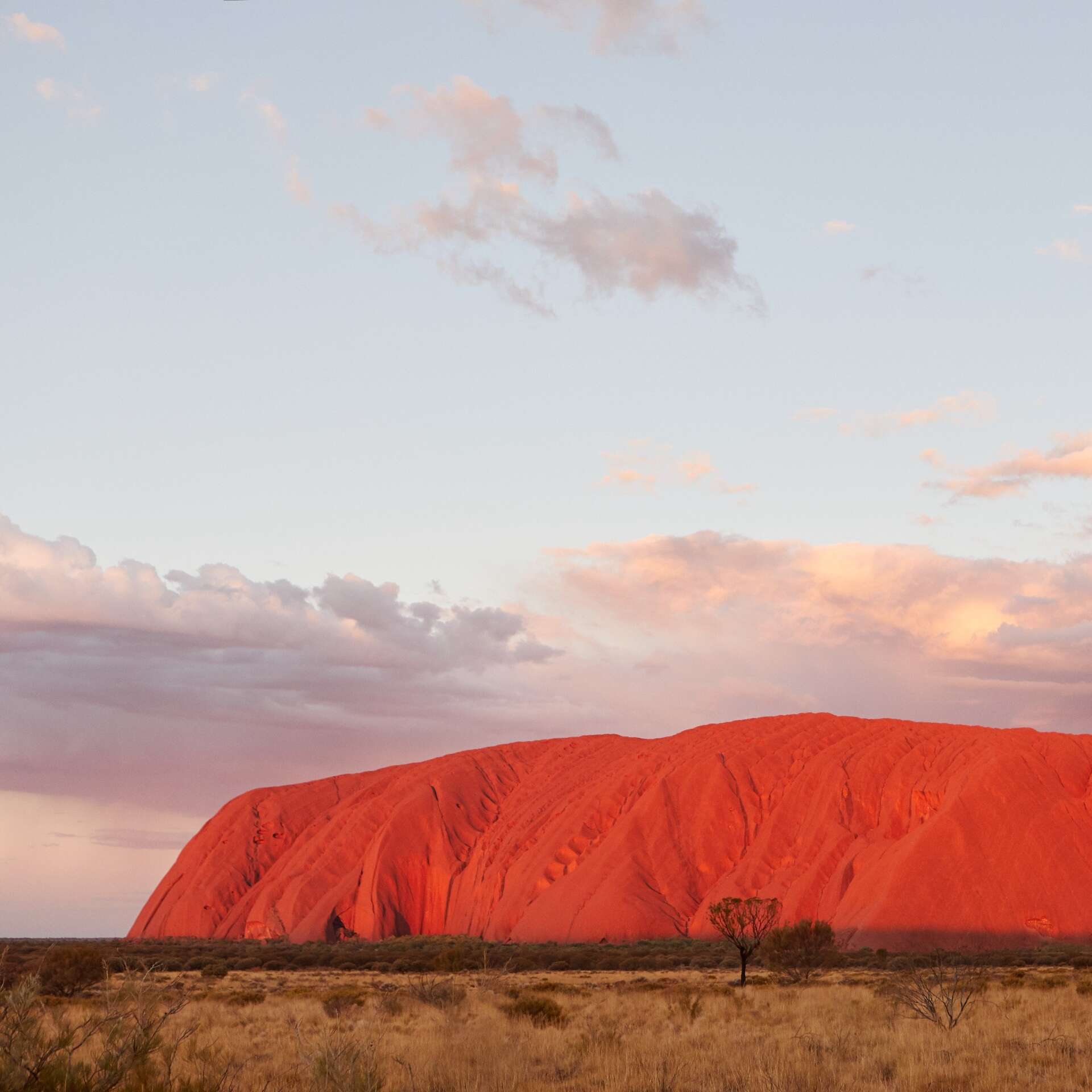 Uluru, Uluru-Kata Tjuta National Park, Northern Territory © Tourism NT, Matt Cherubino