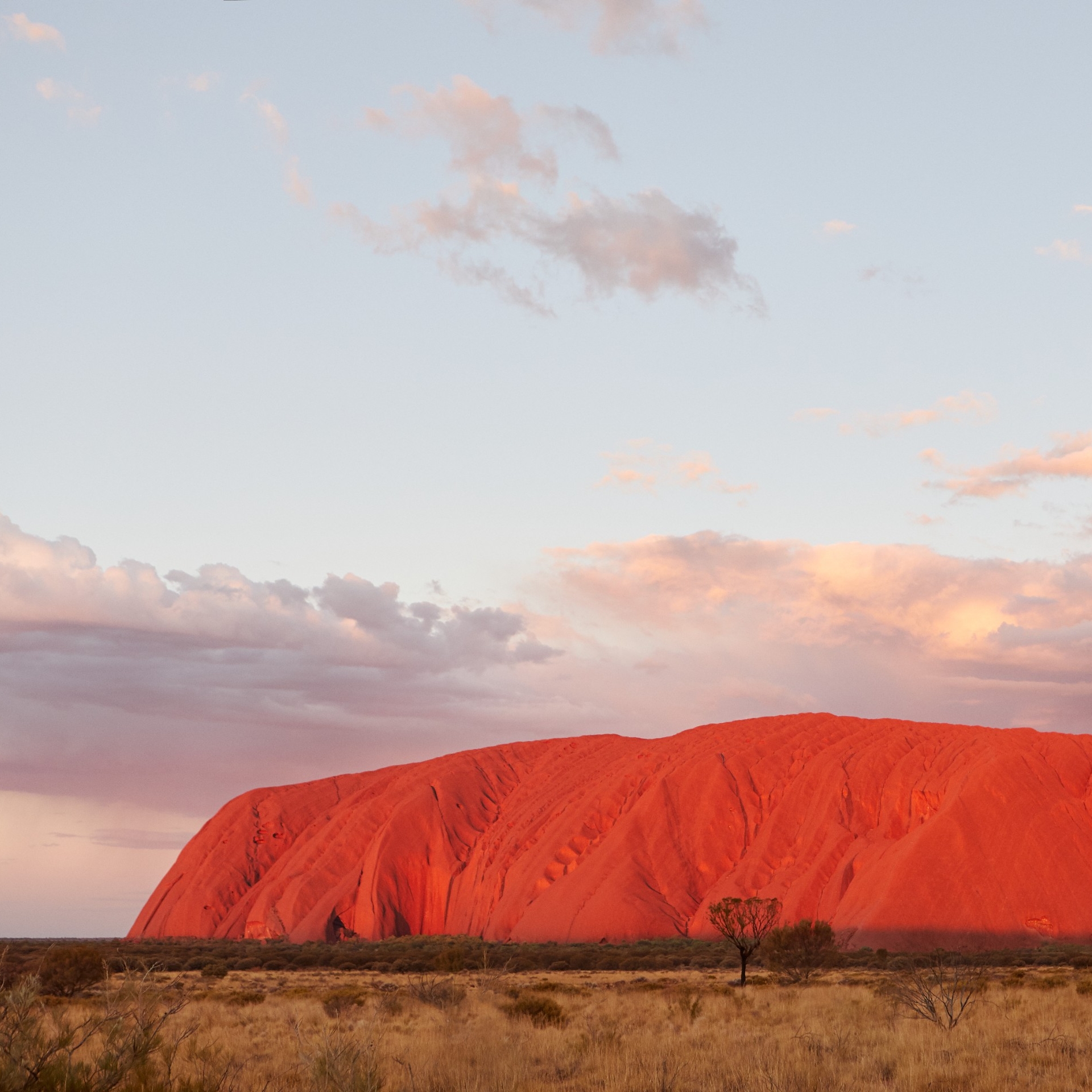 Uluru, Uluru-Kata Tjuta National Park, Northern Territory © Tourism NT, Matt Cherubino