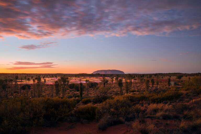 Field of Light, Uluru, Uluru-Kata Tjuta National Park, Northern Territory © Tourism Australia