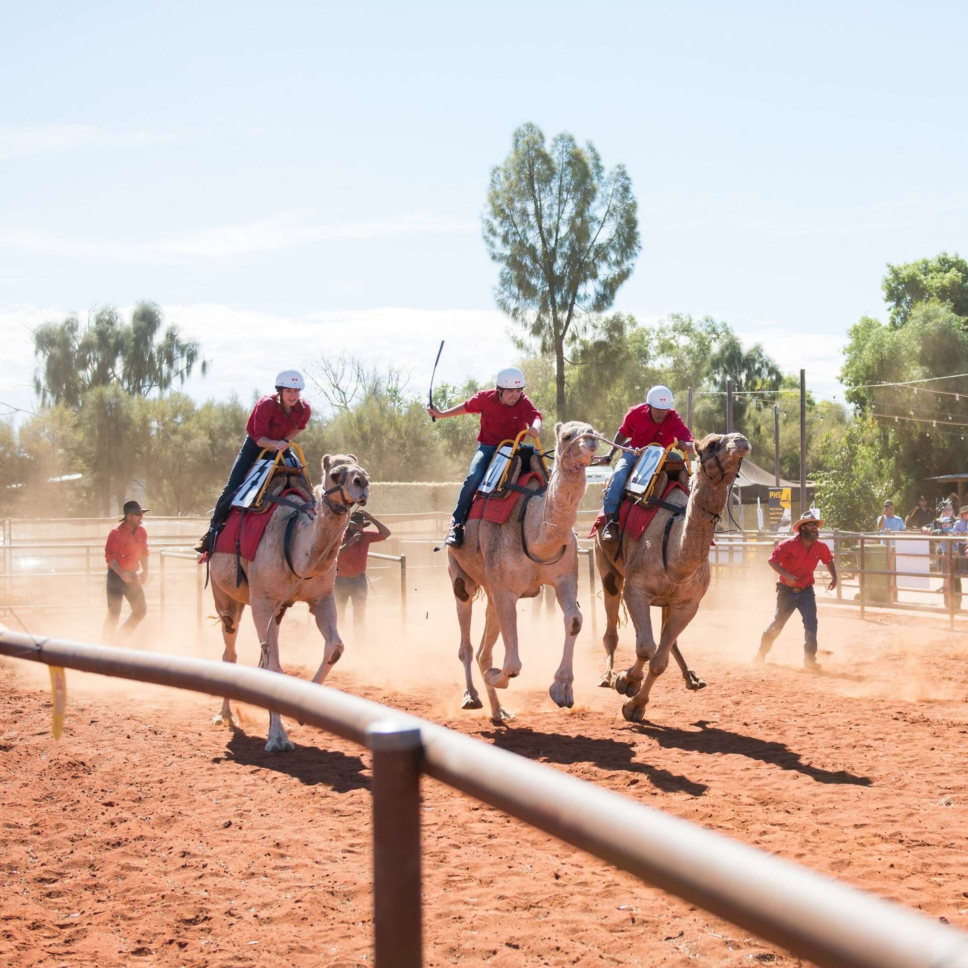 Alice Springs Camel Cup, Alice Springs, Northern Territory © Tourism Australia