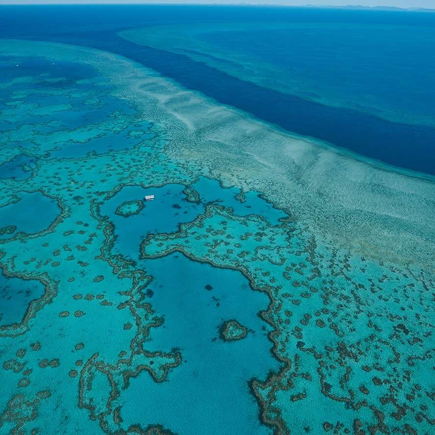 Heli Reef, Whitsundays, Queensland © Tourism Australia