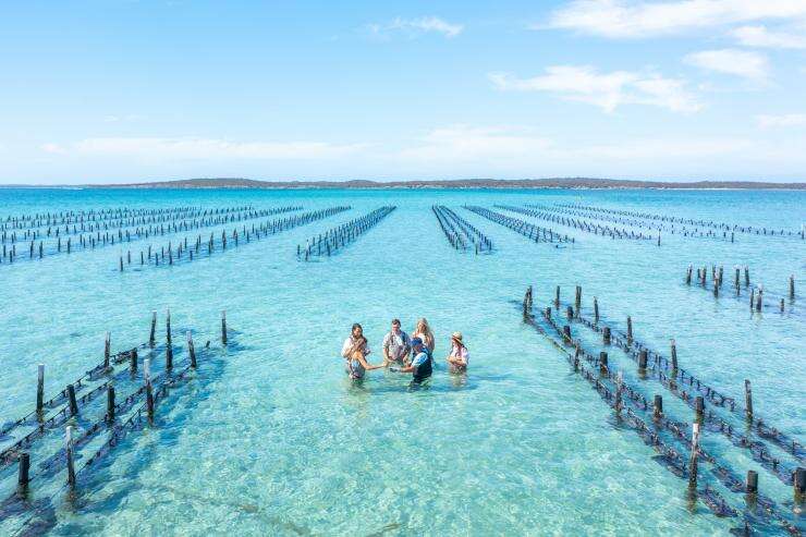 Top down aerial photo of guests wading amongst oyster racks inCoffin Bay ©  Tourism Australia