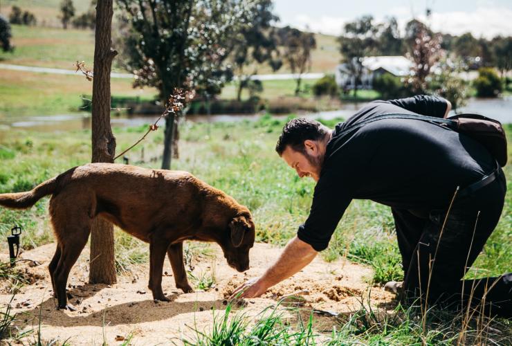 The Truffle Farm, Canberra, Australian Capital Territory © The Truffle Farm, Lean Timms