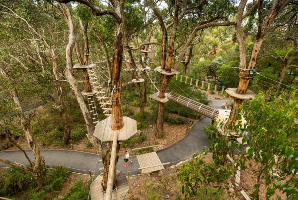 Wooden treetop platforms and rope bridges weave through towering eucalyptus trees above a winding path at Enchanted Adventure Garden, Mornington Peninsula, Victoria. © Enchanted Adventure Garden