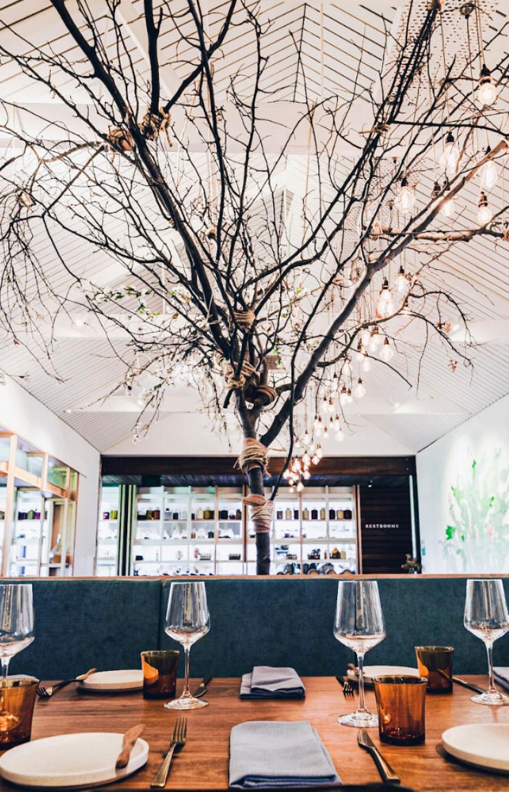 An elegant table setup set for dining at Tesoro in Hobart, Tasmania, featuring wine glasses, plates, and napkins beneath a large, bare indoor tree installation adorned with hanging warm lights © Samuel David @marcelvibes