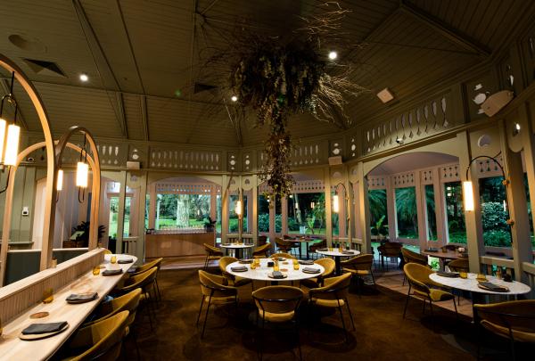 Warmly lit dining room with yellow chairs, wooden accents, and hanging botanical feature overlooking lush gardens at Restaurant Botanic, Adelaide, South Australia.© Jon Wah