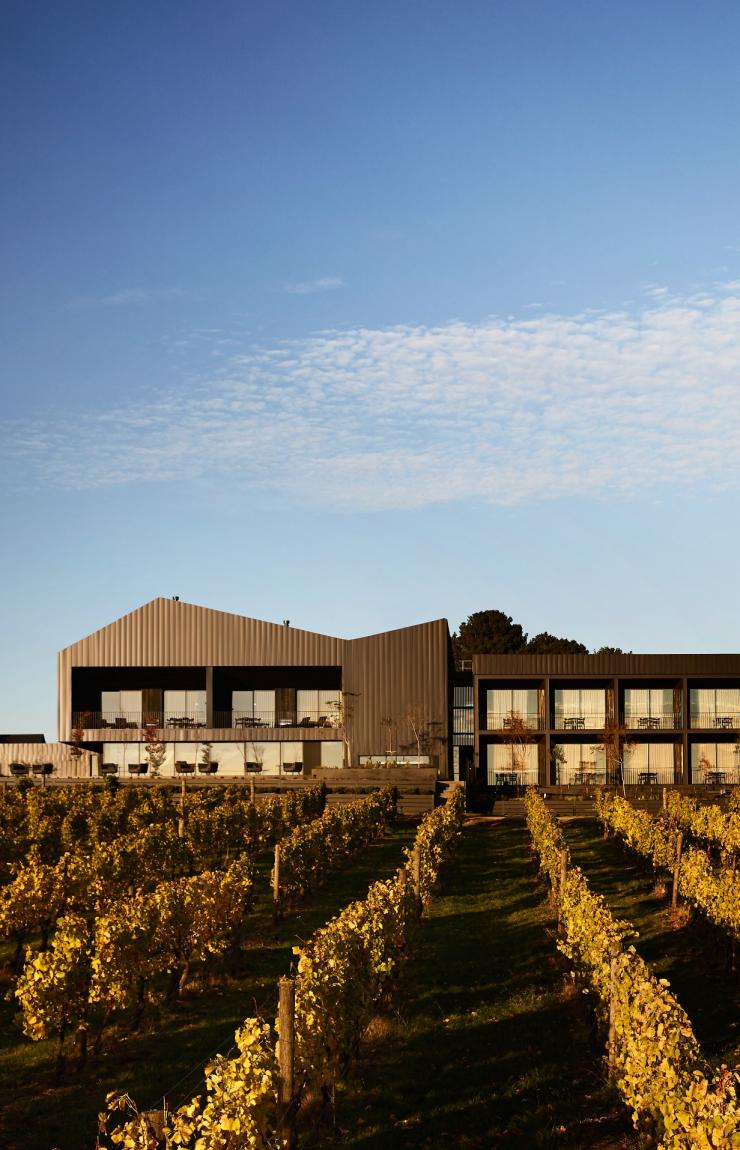 Golden afternoon light illuminates neat rows of autumn vines in front of the sleek, dark architectural facade of Jackalope Hotel on the Mornington Peninsula, Victoria, set against a blue sky. © Jackalope Hotel