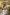 Adopt an Animal, Currumbin Sanctuary, Gold Coast, Queensland © Currumbin Sanctuary