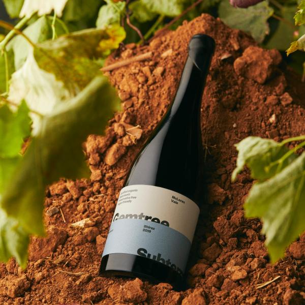 A bottle of Gemtree Wines biodynamic wine rests in rich brown vineyard soil among grape leaves, McLaren Vale, South Australia. © Gemtree