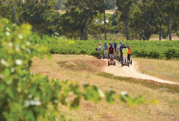 Segway experience, Seppeltsfield, Barossa Valley, South Australia © Iain Bond