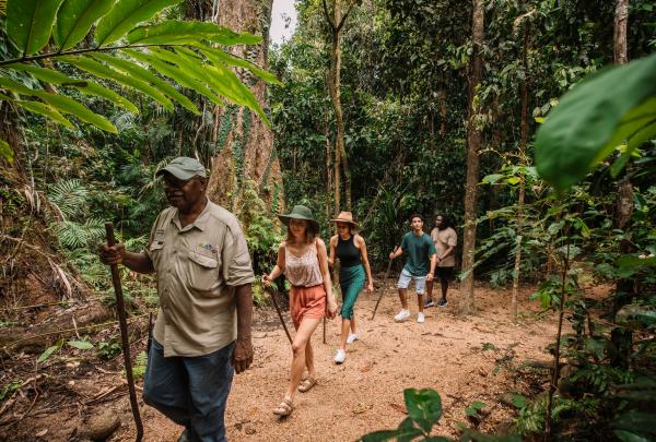 An Indigenous guide leads a group of hikers with walking sticks along a dirt track through lush rainforest at Mossman Gorge, Tropical North Queensland. © Tourism and Events Queensland