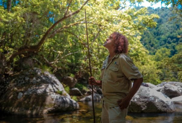 An Indigenous guide looks up into the lush rainforest canopy on a tour with Voyages Indigenous Tourism Australia at Mossman Gorge in Daintree National Park, Queensland © Voyages Indigenous Tourism Australia
