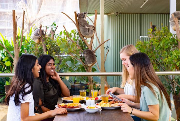 Have breakfast with a koala, WILD LIFE Sydney Zoo, Sydney, New South Wales © WILD LIFE Sydney Zoo