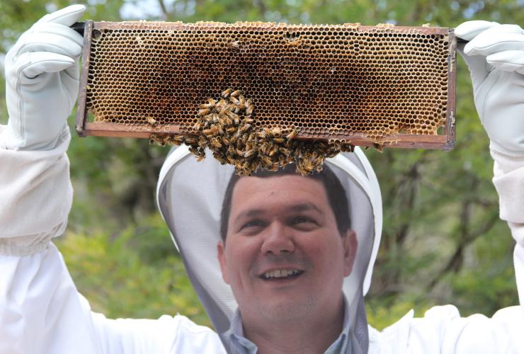 Professor Paulo de Souza working with Honey Bees in Tasmania © CSIRO