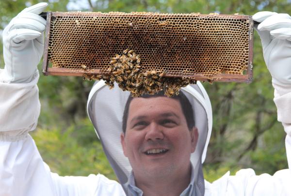 Professor Paulo de Souza working with Honey Bees in Tasmania © CSIRO
