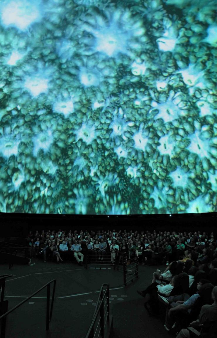 An audience sits inside a dark planetarium watching a glowing green and blue underwater dome projection during a screening of "Coral: Rekindling Venus". © American Museum of Natural History