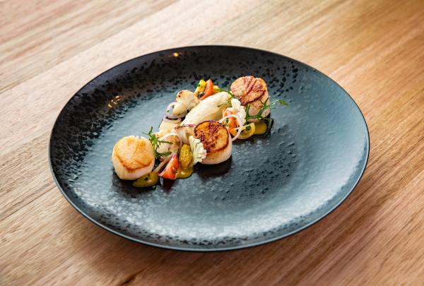 Pan-seared scallops plated with puree and microgreens on a dark ceramic dish at Brisbane Convention & Exhibition Centre, Brisbane, Queensland. © Brisbane Convention & Exhibition Centre