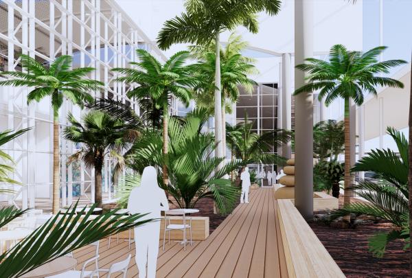 Lush tropical palm trees and garden greenery line a modern timber boardwalk inside an airy terminal, designed for Studiospillane at Cairns Airport, Cairns, Queensland. © Studiospillane