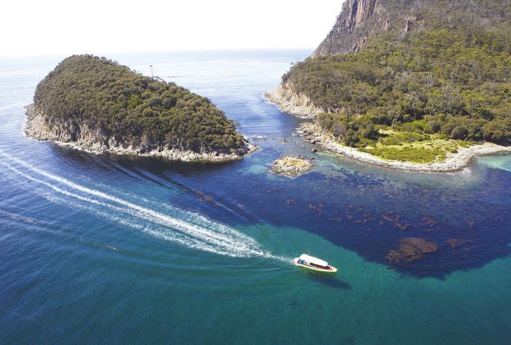 Penguin Island, Tasmania © Tourism Tasmania / Joe Shemesh