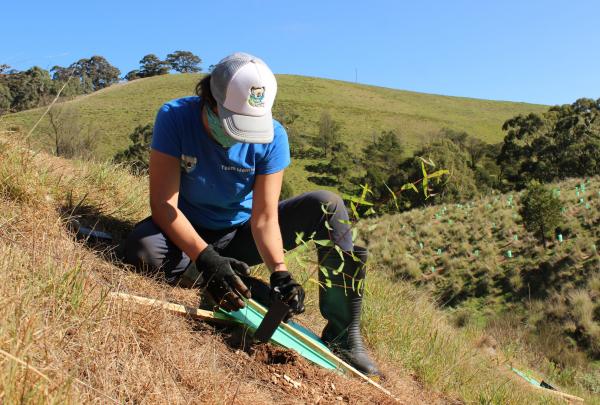 Woman planting a tree with Echidna Walkabout Nature Tour, Melbourne, Victoria © Echidna Walkabout Nature Tour