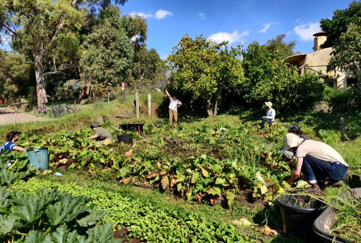 People gardening at the CERES Community Environment Park in Melbourne, Victoria © CERES