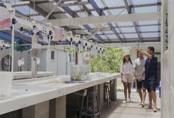 A group of people walking through Lizard Island Research Station, Queensland © Luxury Lodges of Australia