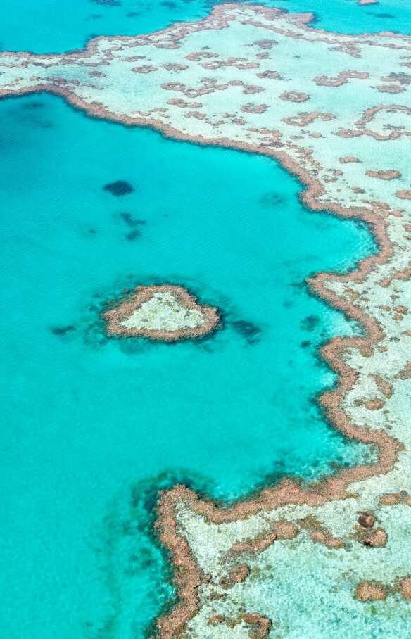 Heart Reef, Great Barrier Reef, QLD @ Tourism Australia