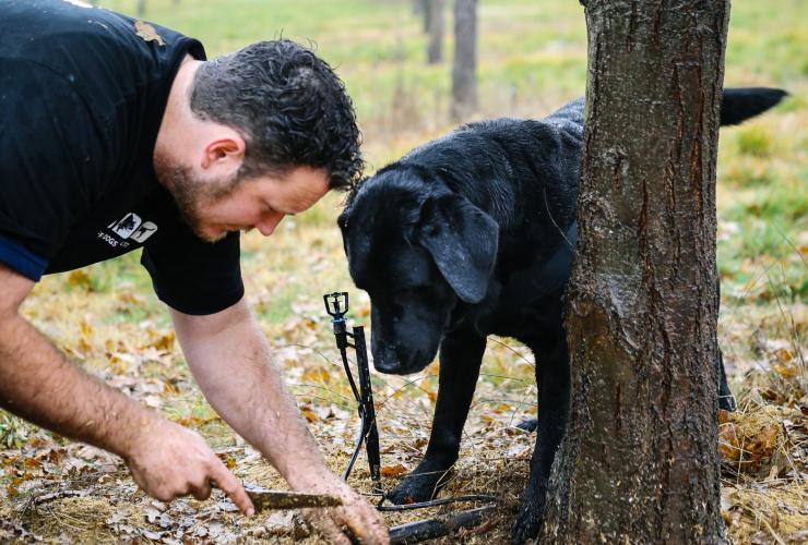 The Truffle Farm, Canberra, Australian Capital Territory © Tourism Australia