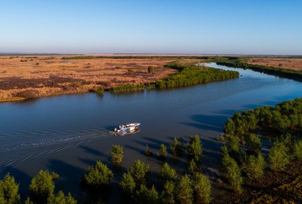 An aerial view of a boat navigating a winding river surrounded by lush mangroves and vast wetlands with Wildman Fishing Tours, Berry Springs, Northern Territory. © Wildman Fishing Adventures