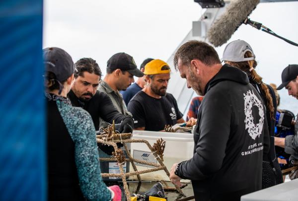 A dedicated crew gathers on the deck of a boat, carefully attaching coral fragments to metal frames during a marine conservation project with Dreamtime Dive and Snorkel in Queensland. © Dreamtime Dive and Snorkel