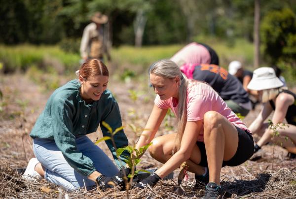 Volunteers kneel outdoors to plant young saplings into mulch during a tree-planting initiative hosted with Cairns Convention Centre in Cairns, Queensland. © Business Events Cairns GBR