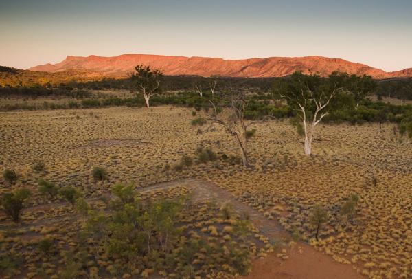 Sunlight glows across rugged red mountain ranges and scattered ghost gums over grassy desert plains of Alice Springs in Australia’s Red Centre, Northern Territory. © Tourism Australia