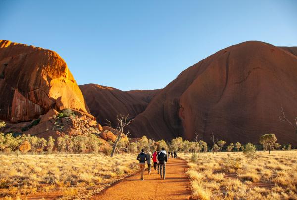 A guided walk group follows a dirt trail past golden spinifex grass towards the towering red rock face of Uluru under a clear blue sky in Uluru-Kata Tjuta National Park, Northern Territory. © Tourism NT