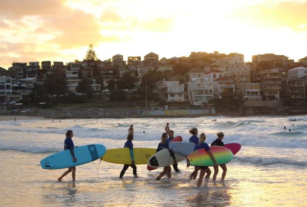 Surfers carry colorful soft-top surfboards into gentle golden waves at dusk during a surf lesson with Let's Go Surfing at iconic Bondi Beach, Sydney, New South Wales. © Let's Go Surfing 