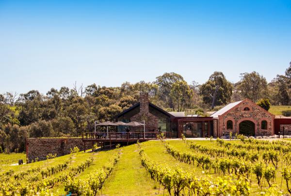 Sunlit vineyard rows lead toward historic St Hugo cellar door stone buildings and an outdoor dining deck surrounded by lush trees, Barossa Valley, South Australia. © St Hugo